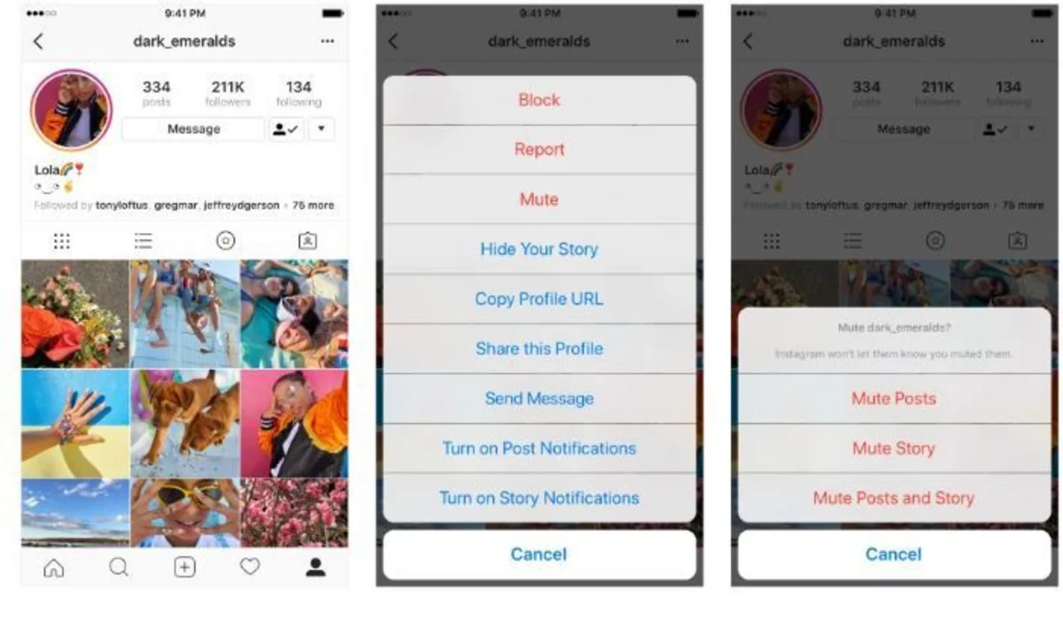 Instagram разрешил скрывать посты пользователей без удаления из друзей