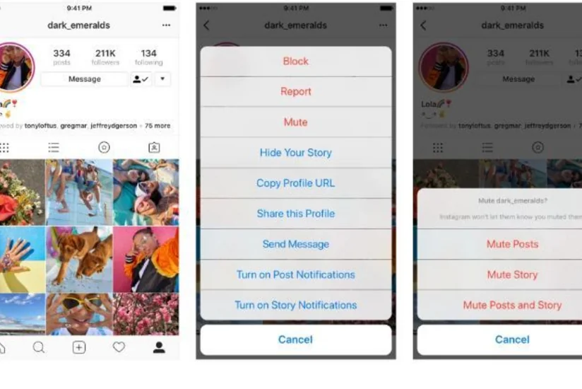 Instagram разрешил скрывать посты пользователей без удаления из друзей