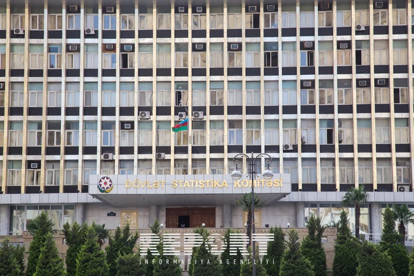 ​Azərbaycanda işsizlərin sayı 0,5% artıb
