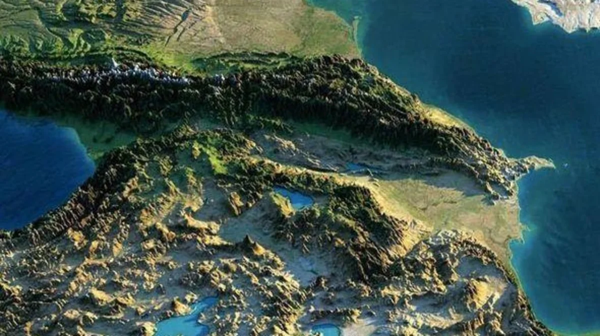Kafedra müdiri: Azərbaycanın iqlimi dörd quş populyasiyasını müşahidə etmək imkanı verir