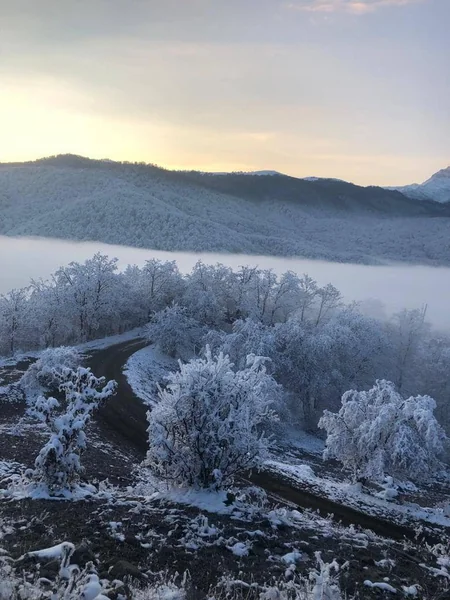 Azərbaycan parklarının qış görüntüləri - FOTOREPORTAJ