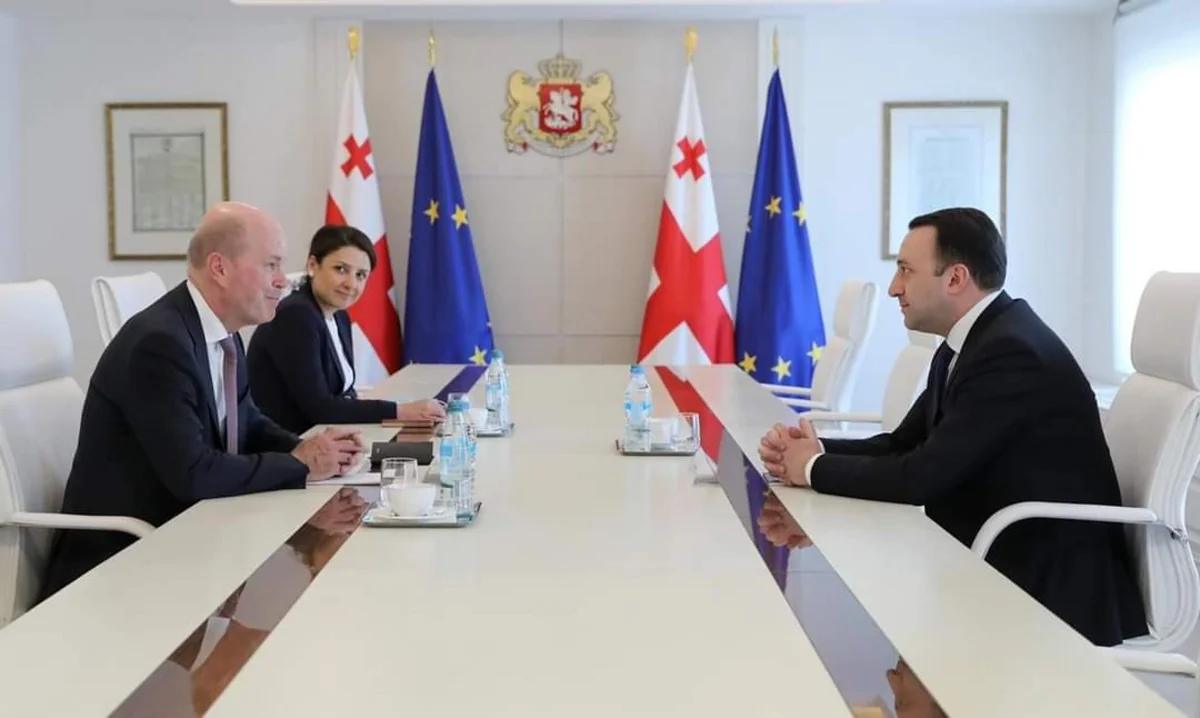 Irakli Garibashvili mulls role of South Caucasus Pipeline with BP official