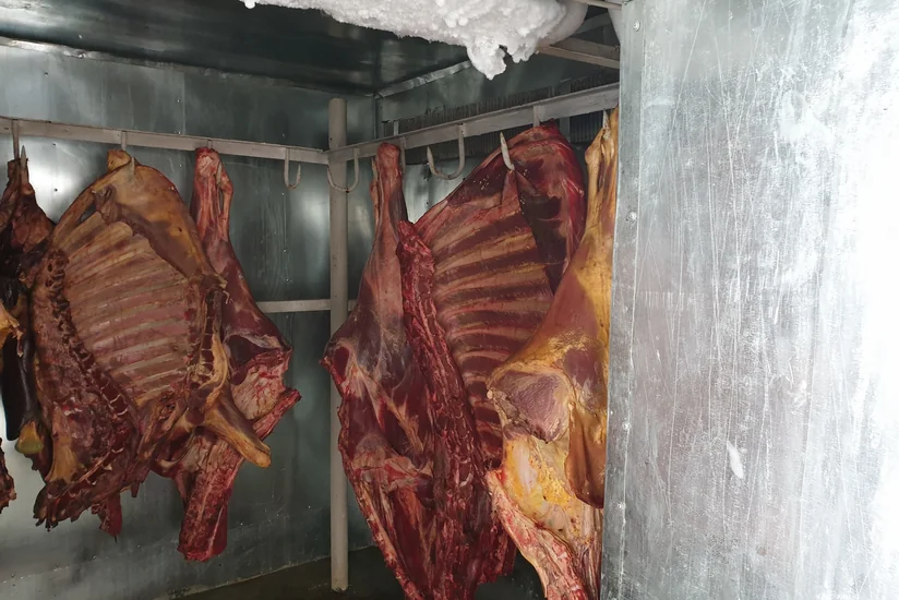 Göyçayda tərkibində xəstəlik törədiciləri olan 235 kq ət aşkarlanıb