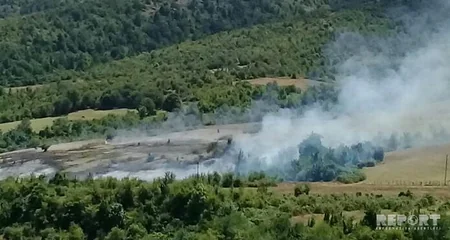 Hirkan Milli Parkında yanğın söndürülür