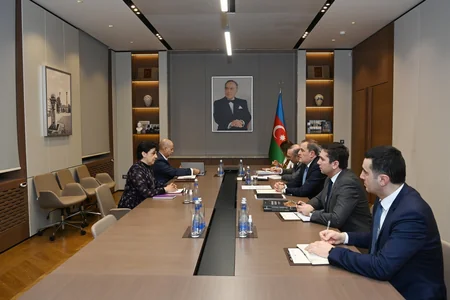 Ceyhun Bayramov Meksikanın yeni təyin olunmuş səfiri ilə görüşüb