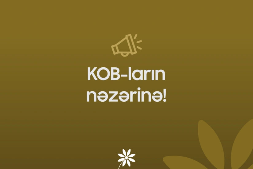 KOBİA startap layihələrinə maliyyə dəstəyi verəcək