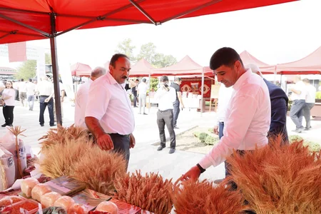 Ağcabədidə Aqrar İnnovasiya Festivalı keçirilib