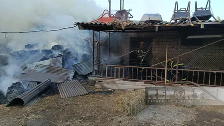 Salyanda 40 tonluq ot tayası yanıb