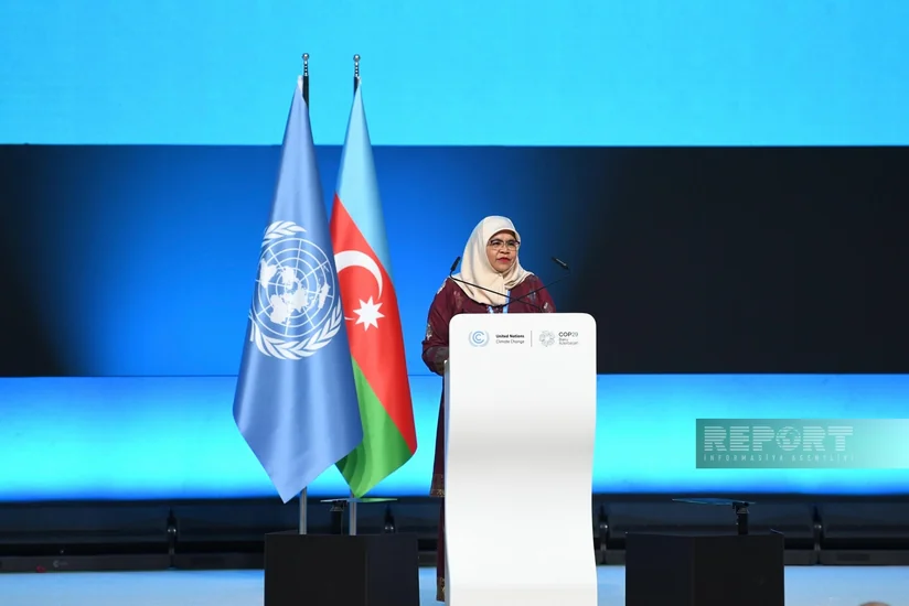 UN-HABITAT-ın icraçı direktoru: İqlim dəyişiklikləri ilə bağlı bəyanatlardan konkret işə keçməliyik
