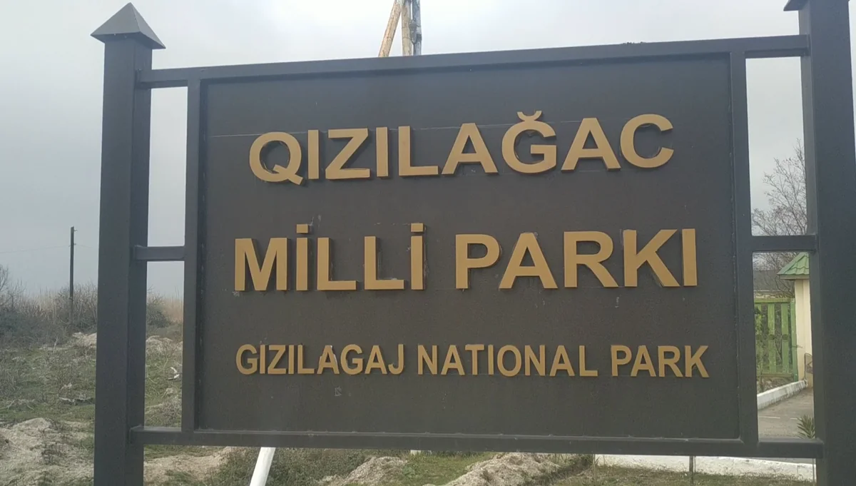 Qızılağac Milli Parkında reyd keçirilib