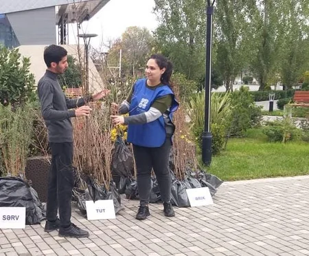 Vətəndaşlara ağac tingləri paylanılıb