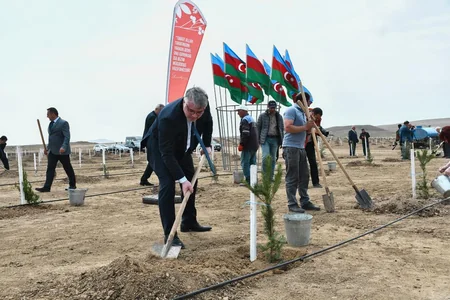 ANAMA Heydər Əliyevin 100 illik yubileyi ilə əlaqədar ağacəkmə aksiyası keçirib