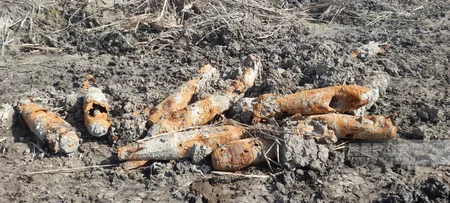 Salyanda partlamamış mərmilər tapılıb