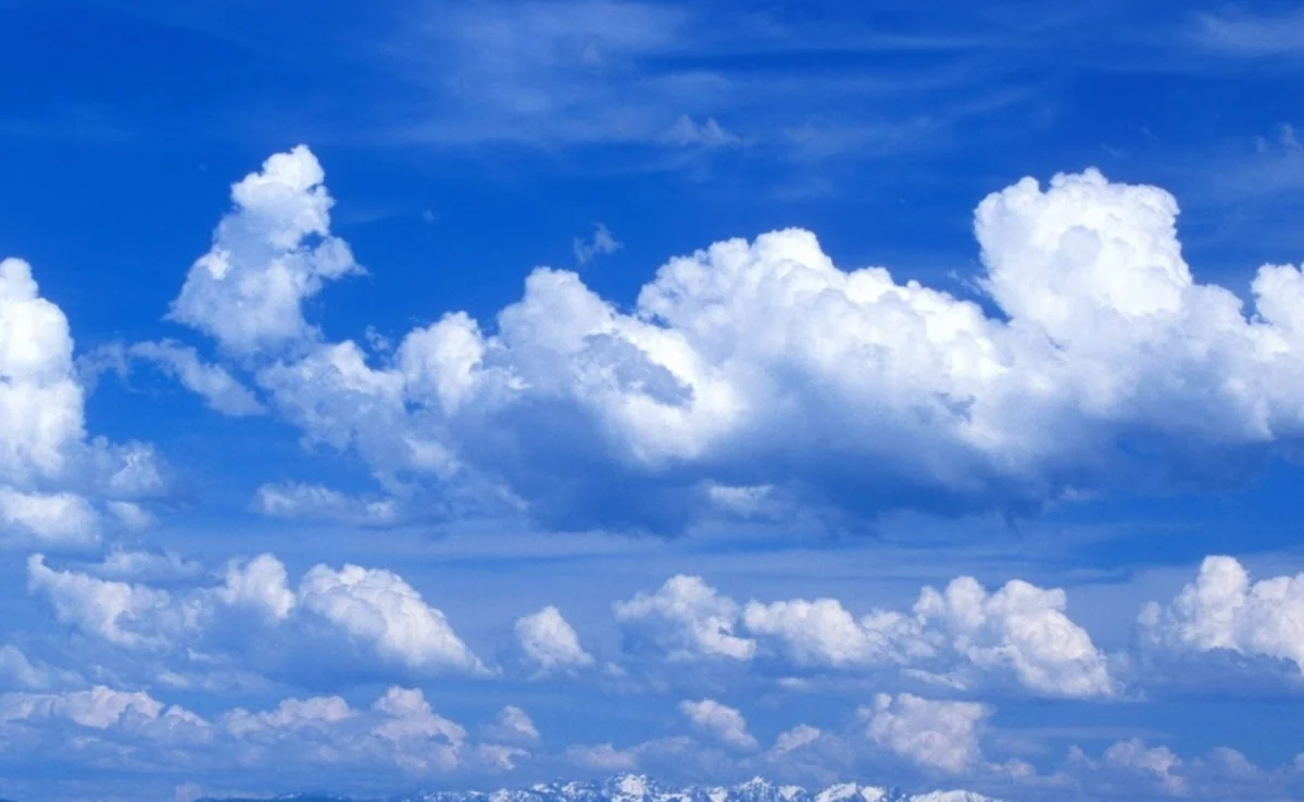 Forecasts Bureau: Intensifying north wind in Azerbaijan to blow 3 days