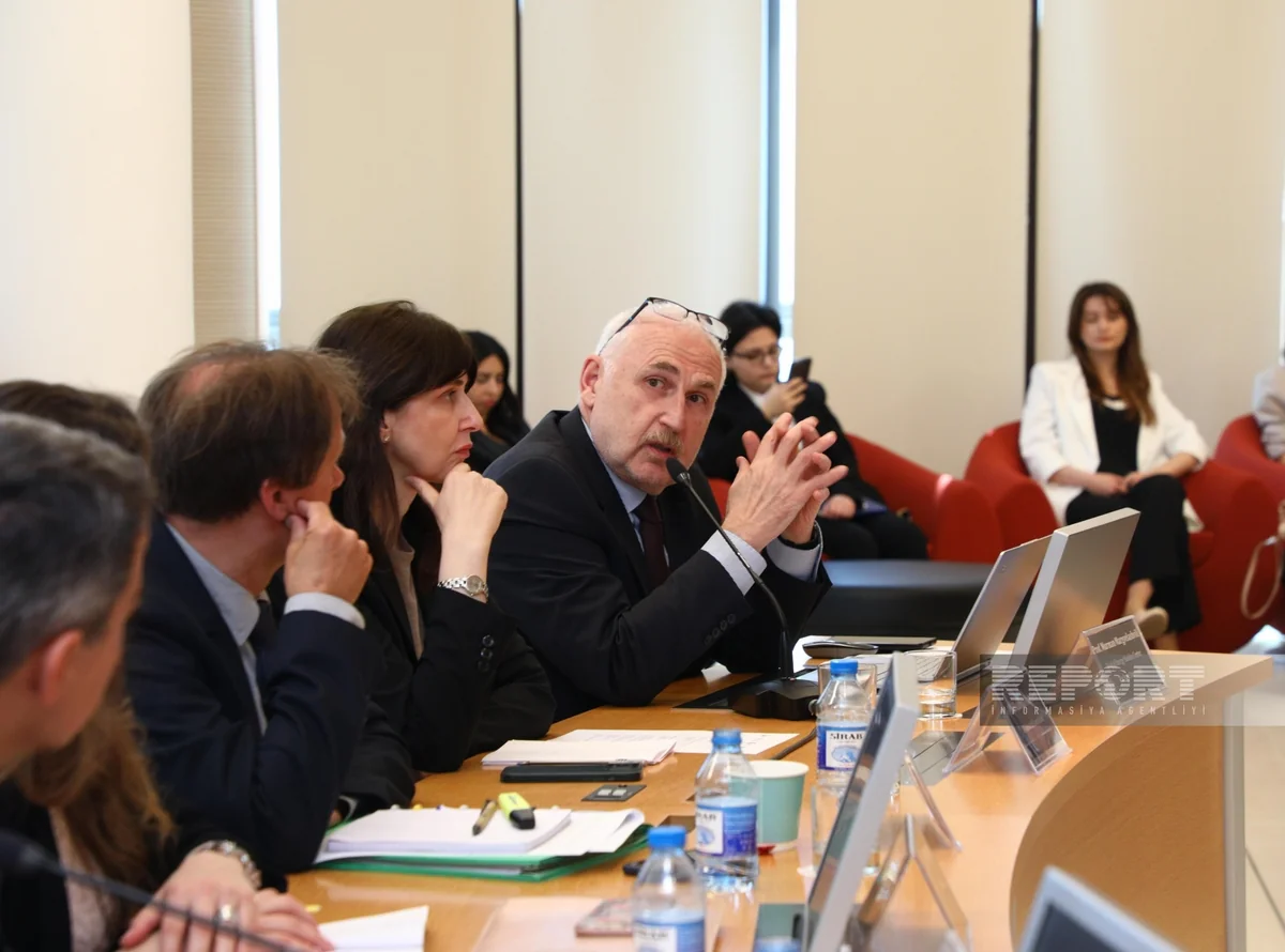 Professor: Regional əməkdaşlıq iqlim dəyişikliyinin nəticələrini azaltmağa kömək edəcək