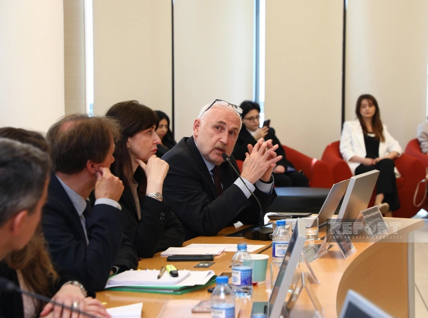 Professor: Regional əməkdaşlıq iqlim dəyişikliyinin nəticələrini azaltmağa kömək edəcək