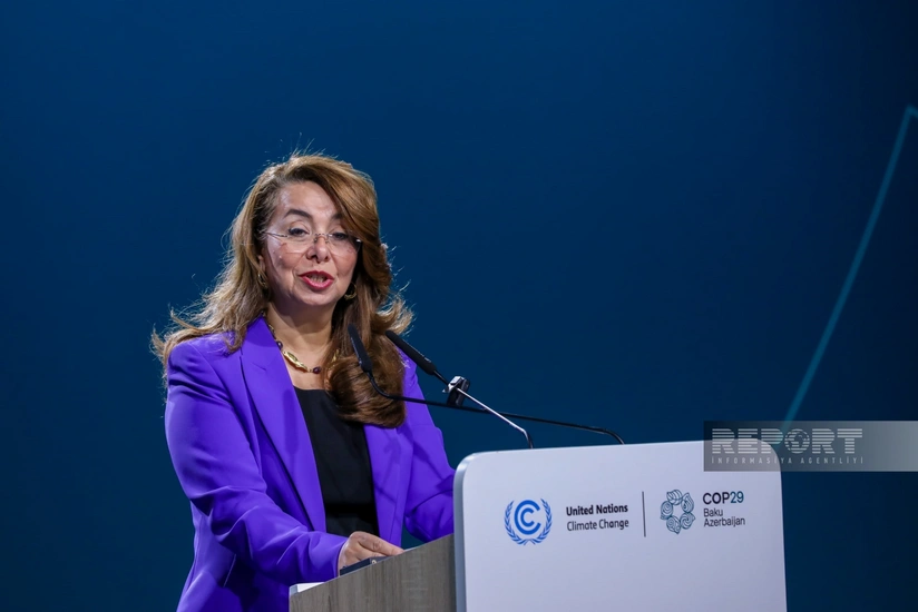 BMT rəsmisi: Hüquq-mühafizə orqanları iqlim dəyişmələri ilə bağlı proseslərə daha çox cəlb edilməlidir