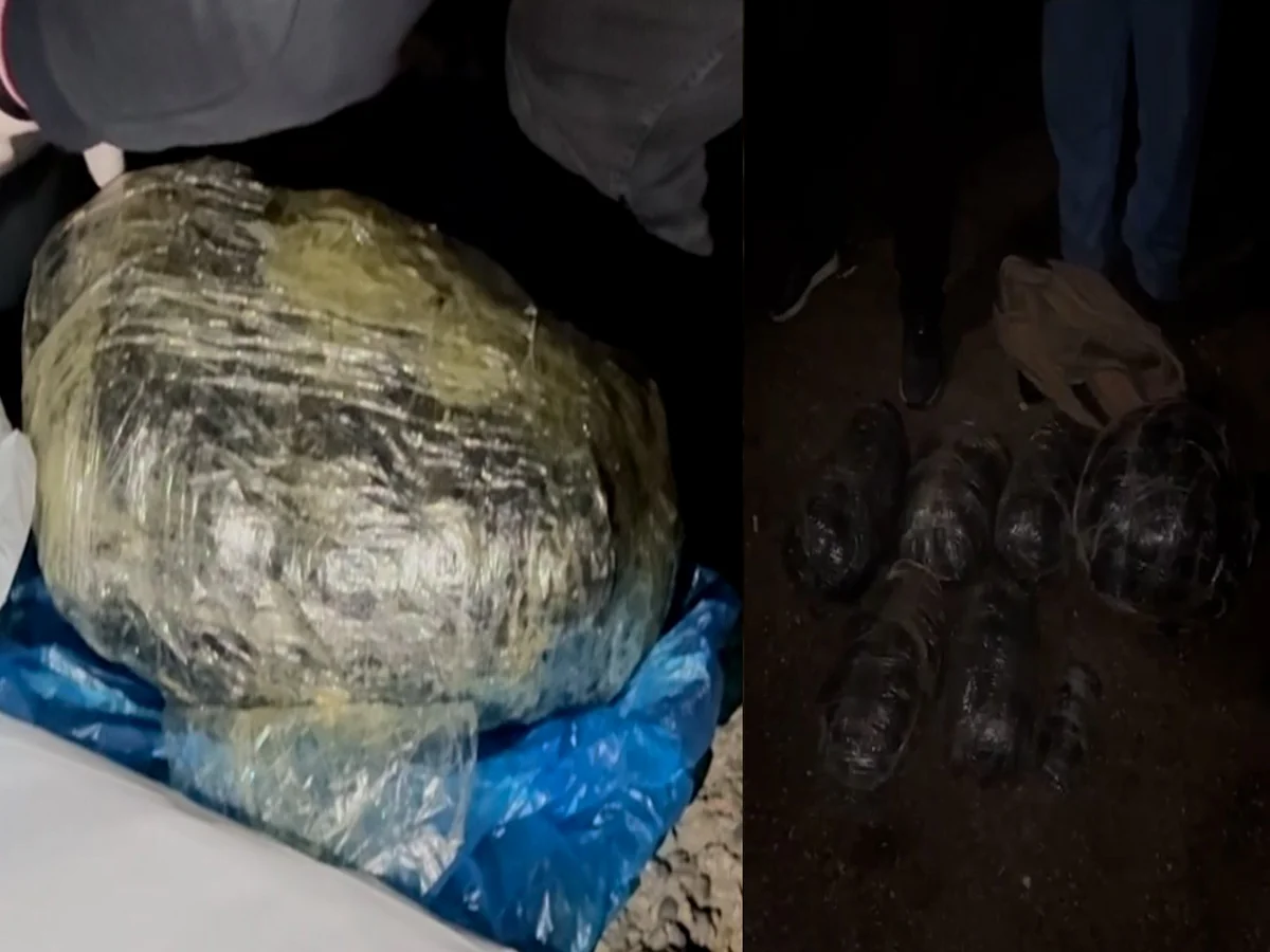 Bakıda narkotacirlikdə şübhəli bilinən şəxslər 17 kiloqram narkotiklə saxlanılıb