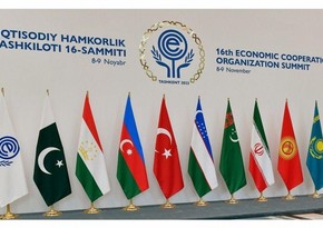 Azərbaycanın ECO-da fəaliyyəti milli maraqların qlobal platformalarda müdafiəsinə xidmət edir - RƏY 