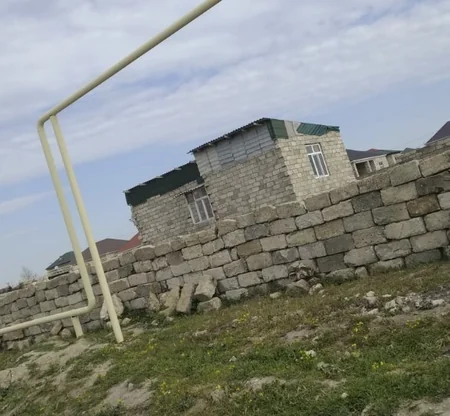 Asan qazanc hərisliyi COVID-19-dan daha yaşlı və qorxuludur - ARAŞDIRMA
