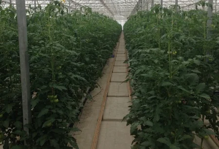 SKMF Samuxda sahibkarlara 646 min manat güzəştli kredit verib