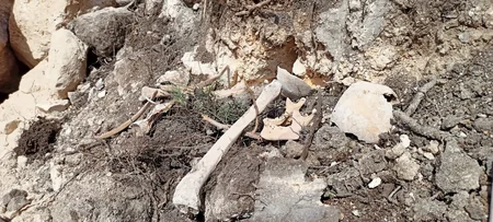 Fərruxda qazıntılar zamanı daha bir neçə azərbaycanlının meyitlərinin qalıqları tapılıb