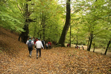 Hirkan Milli Parkında Təbiətin keşiyində adlı eko-skaut düşərgəsi keçirilib
