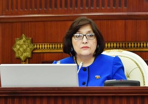 Milli Məclisin 53 deputatı Sahibə Qafarovaya müraciət edib