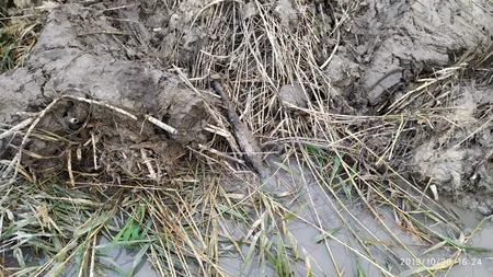 Abşeronda 82 mm-lik top mərmisi aşkarlanıb - FOTO