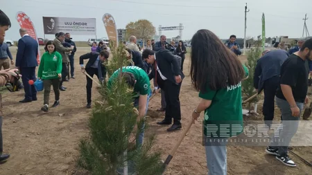 В Агдаме проведена акция по посадке деревьев в честь 100-летия Гейдара Алиева