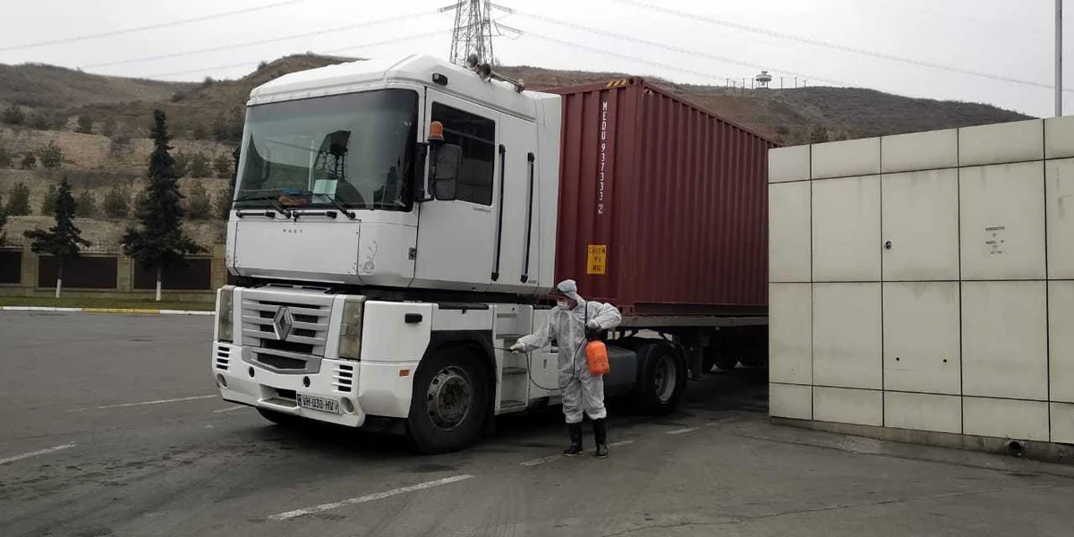 Sınıq Körpüdə Gürcüstanda yayılan А(H1N1) virusu ilə bağlı tədbirlər görülür