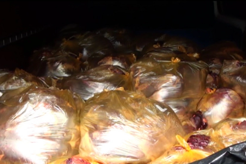 В Исмаиллинском районе в грузовом автомобиле обнаружено около 2 тонн конины