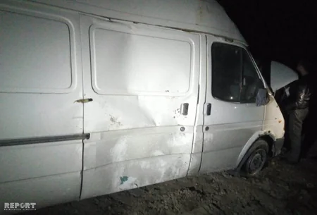 В Гахе лошадь стала причиной аварии, пострадала женщина - ФОТО