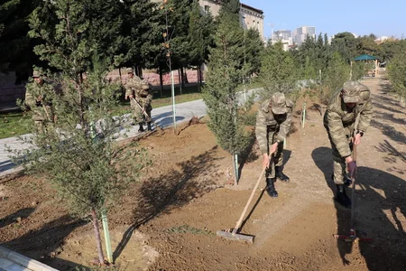 Azərbaycan Ordusunda ağacəkmə aksiyası davam edir