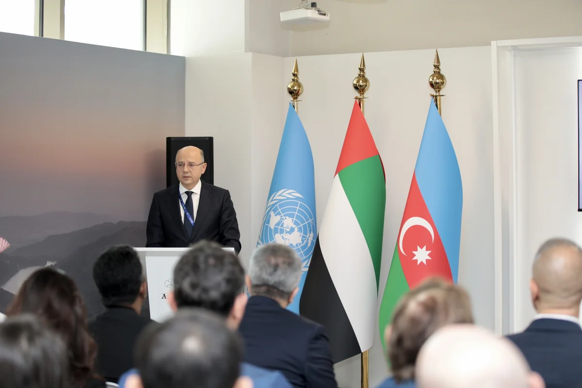 Minister: Azerbaijan to implement major green energy projects through foreign investment