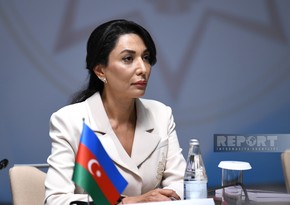 Ombudsman of Azerbaijan urges EU official to react to mine provocation by Armenians