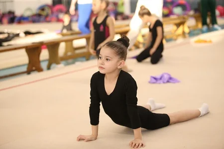 Milli Gimnastika Arenasında keçirilən bədii gimnastika üzrə ustad dərsi başa çatıb