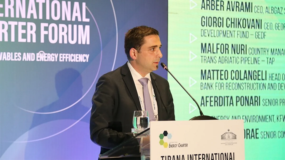 Fond rəhbəri: “Gürcüstan tərəfdaş ölkələrlə Avropanın enerji mənbələrinin diversifikasiyasında mühüm rol oynayır”