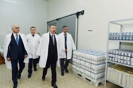 Prezident Abşeron rayonunda “Zəhmət-Ruzi” MMC-nin fəaliyyəti ilə tanış olub