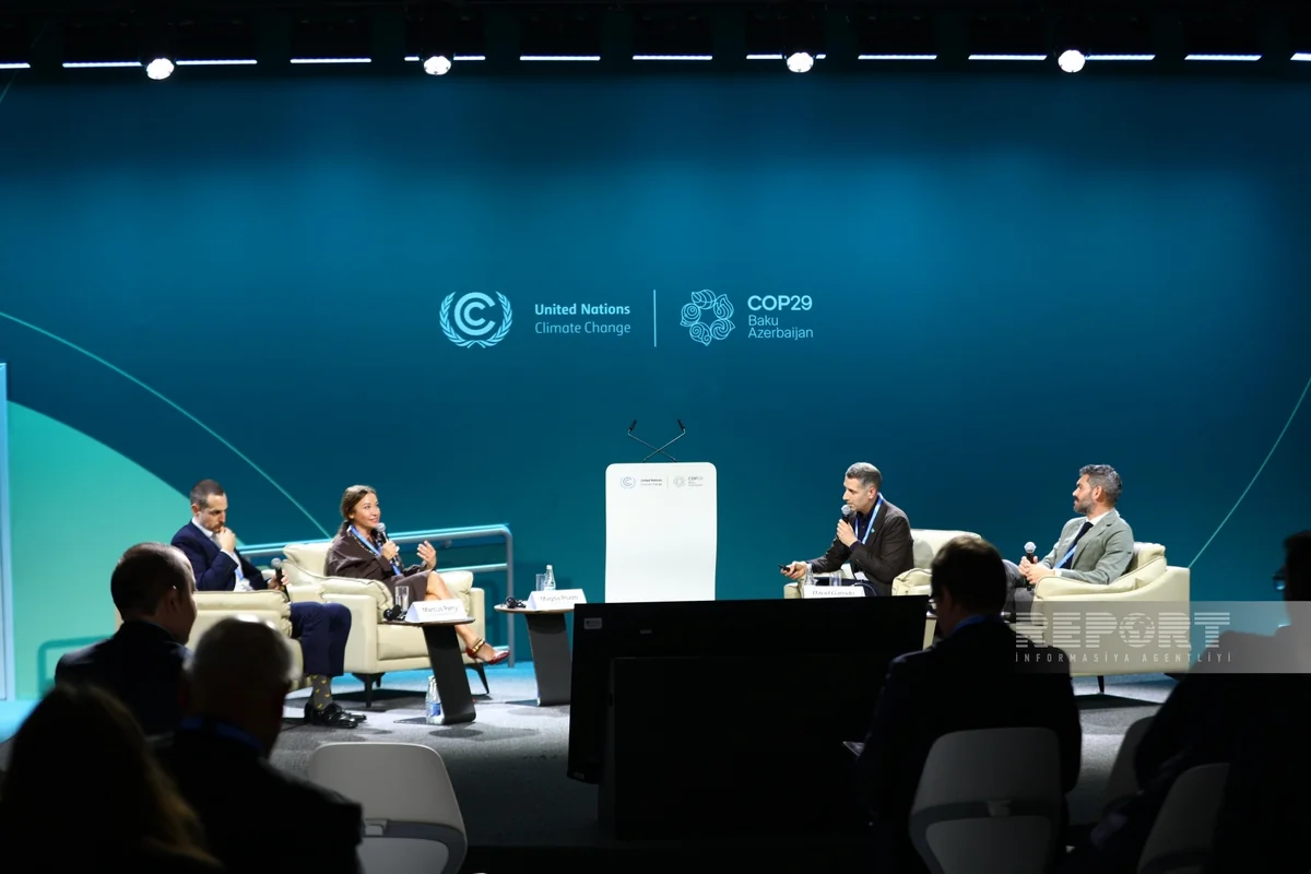 David Garrido: Football should lead by example in combatting climate change