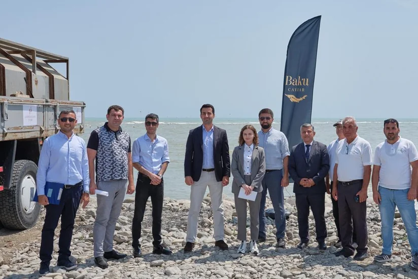 Lu-Mun Holding and SOCAR Trading unite to release 25,000 endangered endemic sturgeons into Caspian Sea