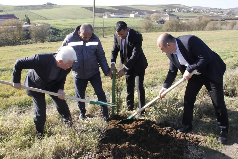 Cəlilabadda Heydər Əliyevin 100 illiyinə həsr olunmuş ağacəkmə aksiyası keçirilib