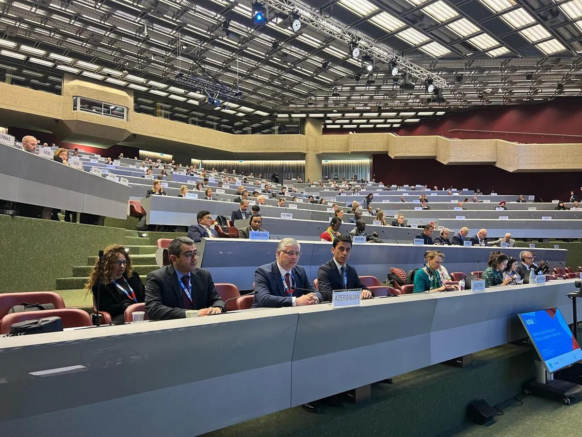 Mine problem faced by Azerbaijan discussed at UN