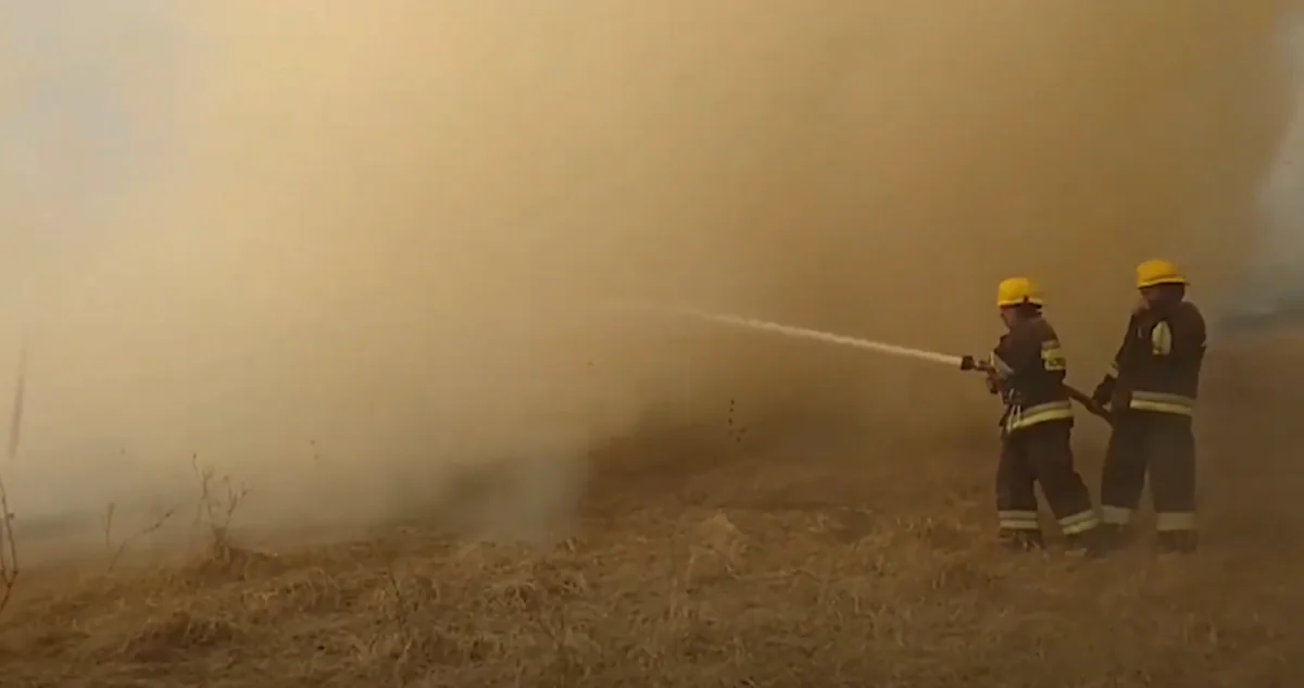 Gədəbəyin Qızıl qala meşəliyində yanğın olub