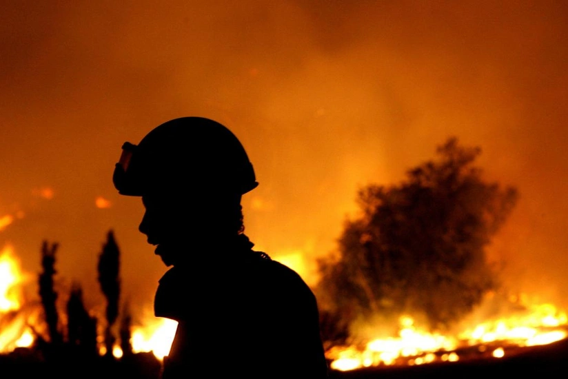 Türkiyədə bütün meşə yanğınları nəzarət altına alınıb