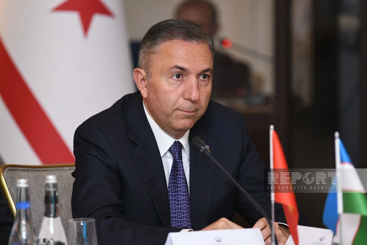 Tahir Mirkişili: “Azərbaycanda atalıq məzuniyyəti hələ tənzimlənməyib”