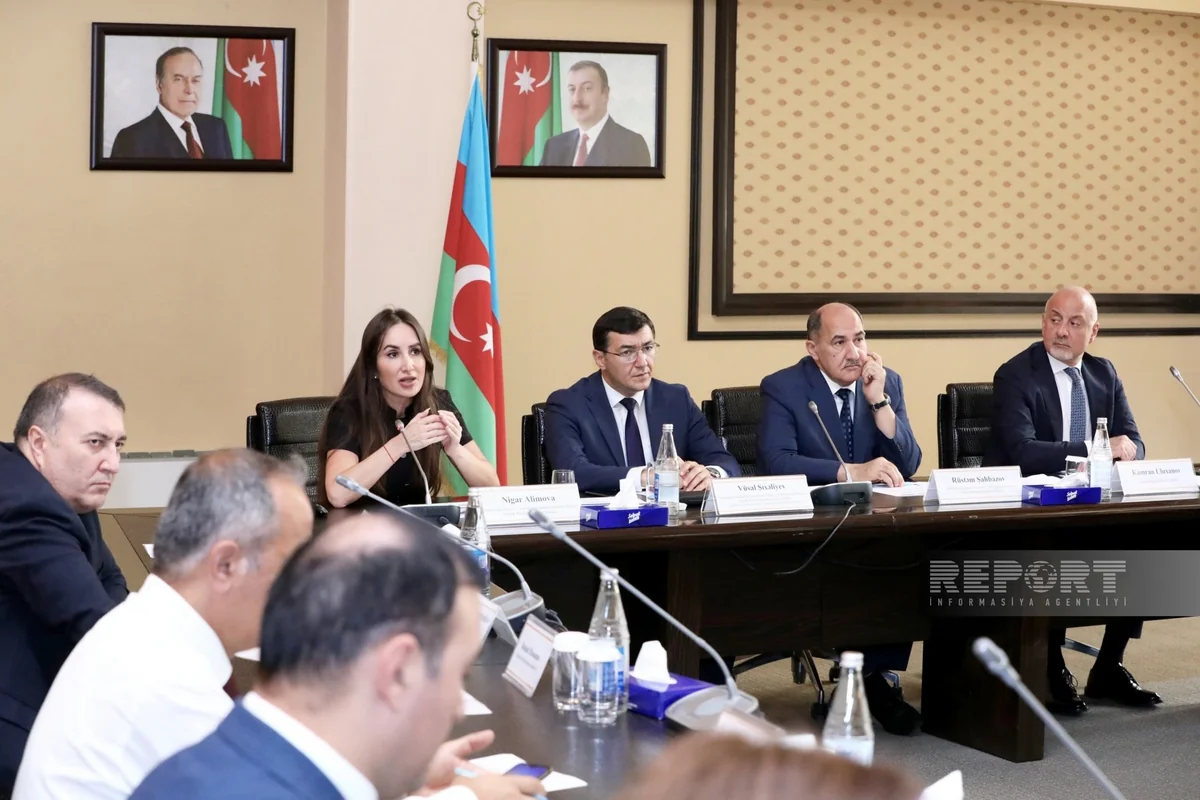Azərbaycanda daşınmaz əmlakla bağlı portal istifadəyə veriləcək