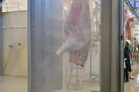 İran halal ət kəsimini Azərbaycan şirkətinə etibar edib - VİDEO
