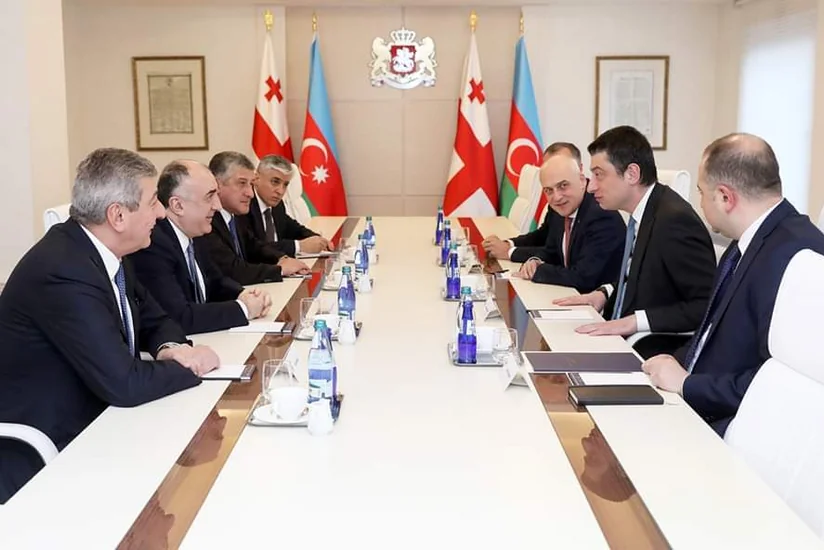 Эльмар Мамедъяров и грузинский премьер обсудили процесс делимитации госграницы