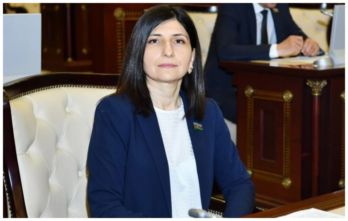 MP: Attacks on Azerbaijani media outlets mostly politically motivated